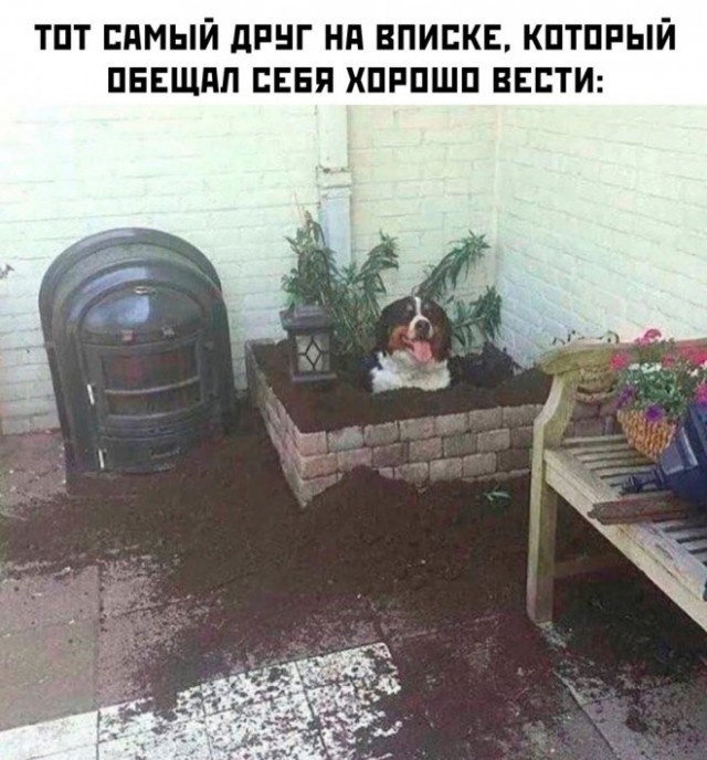 Картинки и мемы, всяко разно - 175