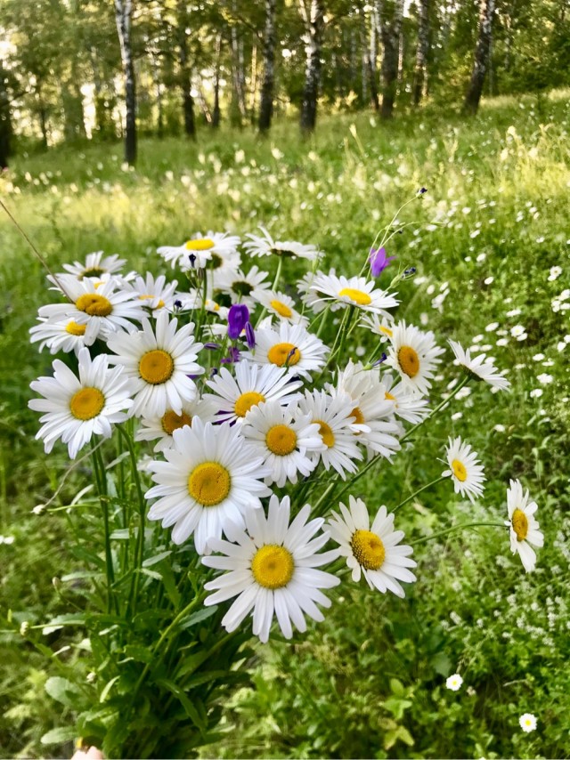 Природа Южного Урала