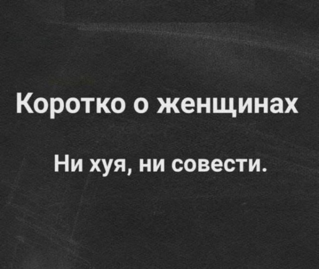 Весёлый полтишок 19.07.23