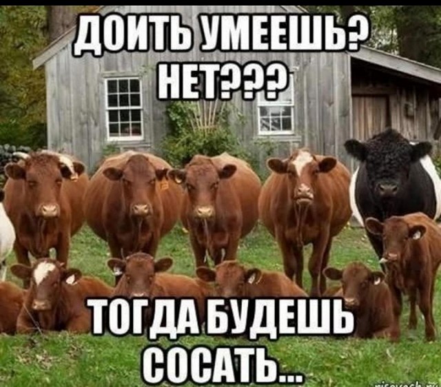 Отряд быстрого деградирования