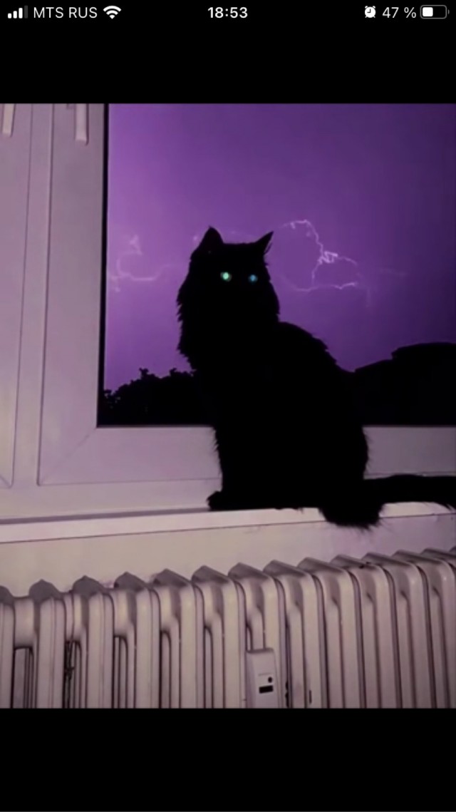 Котэ и молния