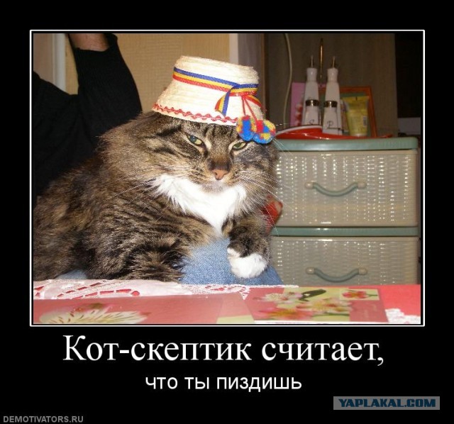 Фото с котейкой!