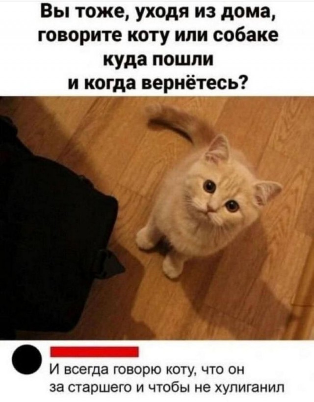 Отряд быстрого деградирования