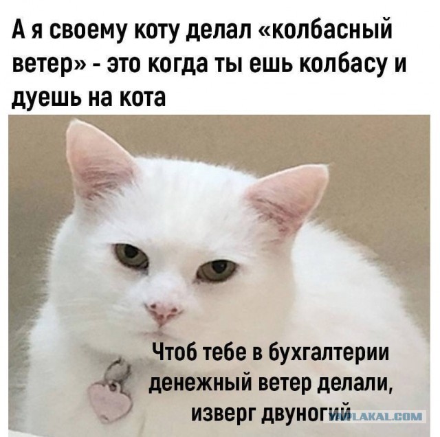 Картинки от Scodero