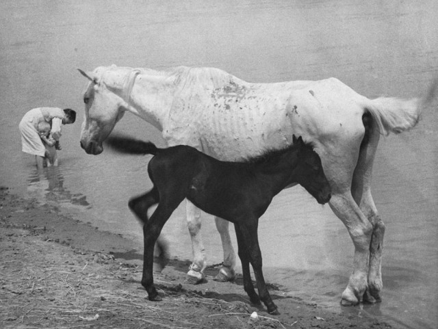 Фотографии из прошлого нашей страны - 48