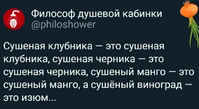 Забавные комментарии из социальных сетей (29.01.24)