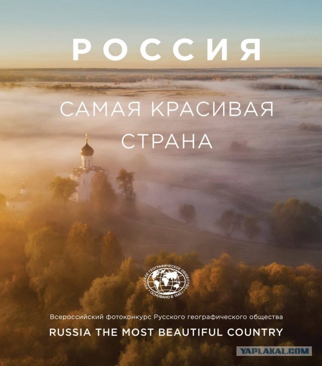 Бременские музыканты
