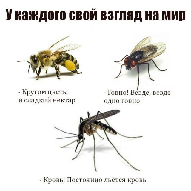 Завалялось тут случайно немного забавных картинок