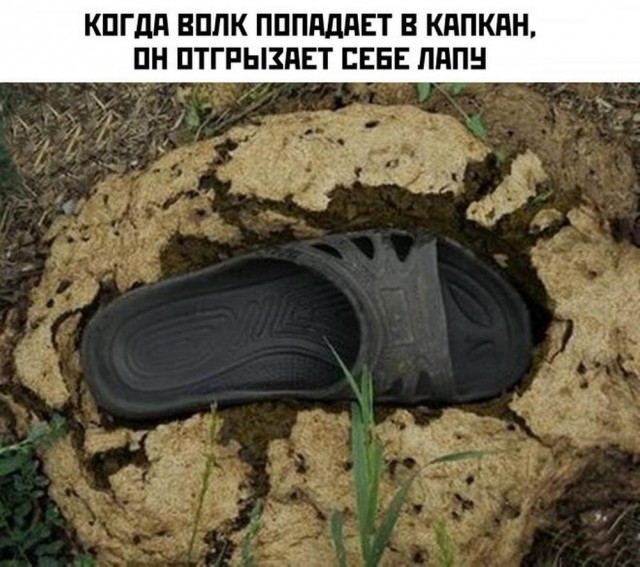 Нуштош 17.10.2024