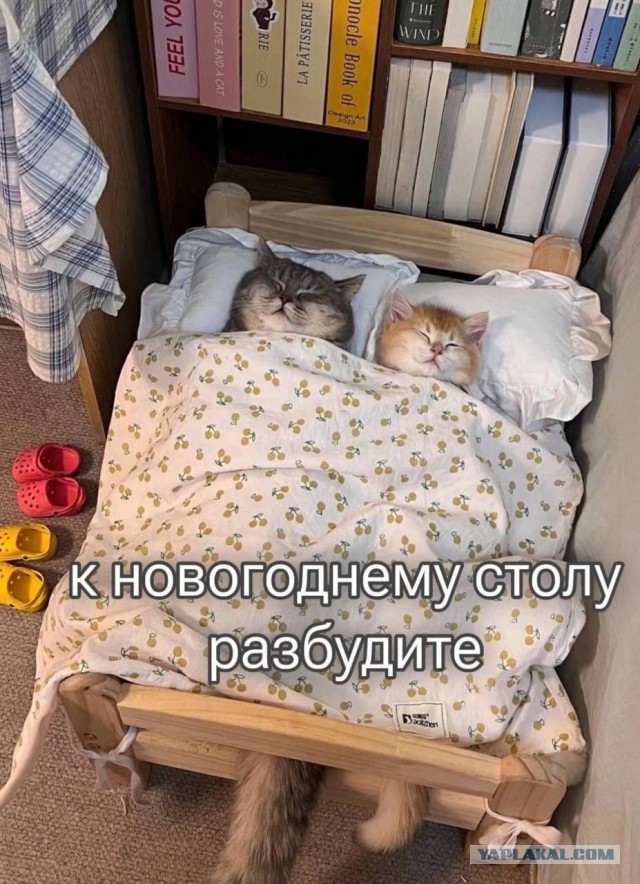 В Петропавловске Камчатском полночь. С Новым Годом!