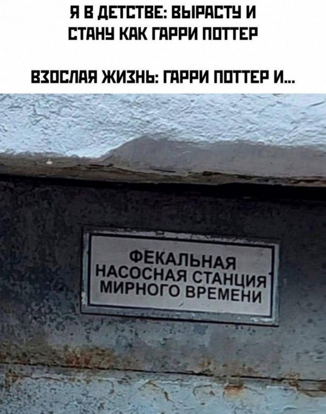 Всего понемногу. От 24.01.25
