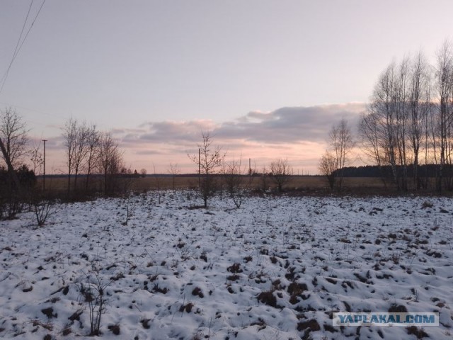 Жизнь домашнего приюта для котеек 531