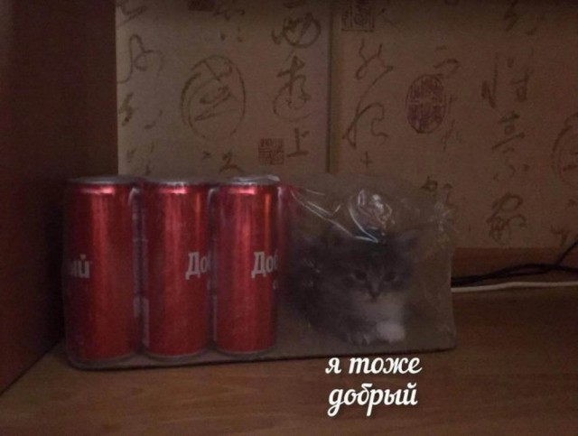 Так себе картинки 18.03.25
