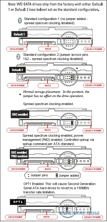 Принесли мне сегодня системник