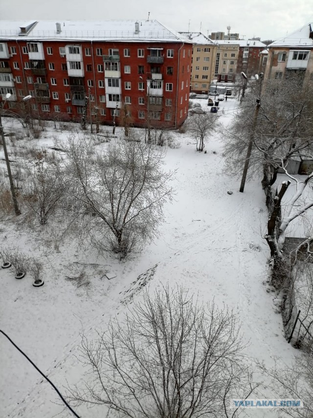 Зима вернулась в Сибирь