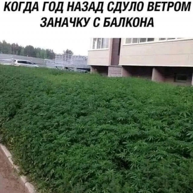 Маленькая пятница 7.05.25