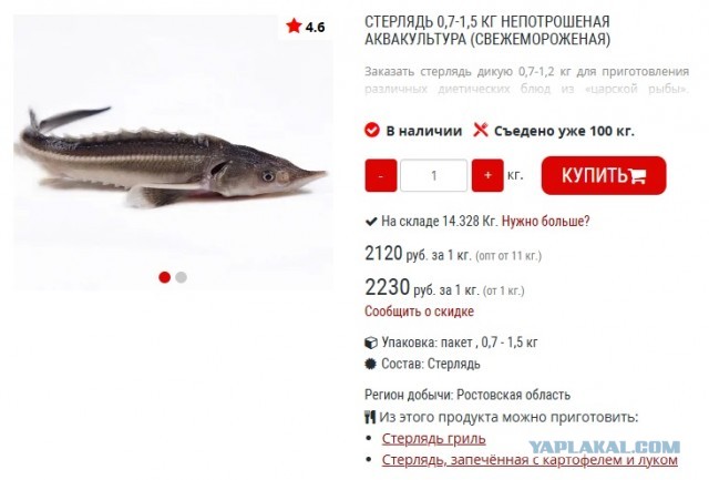 Архиерейская уха, которая перевернет ваш мир. Чем отличается от обычной и зачем монахи её придумали