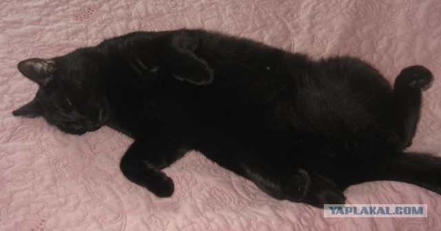 25 самых популярных суеверий со всего света