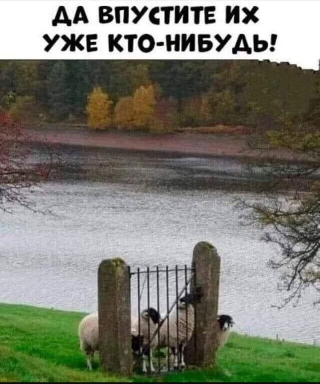 Юмор за день