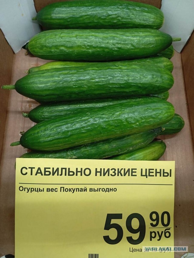 «Продукты официально подорожали на 12%, а реально — на 30». Россияне ждут аномального роста цен и экономят на еде