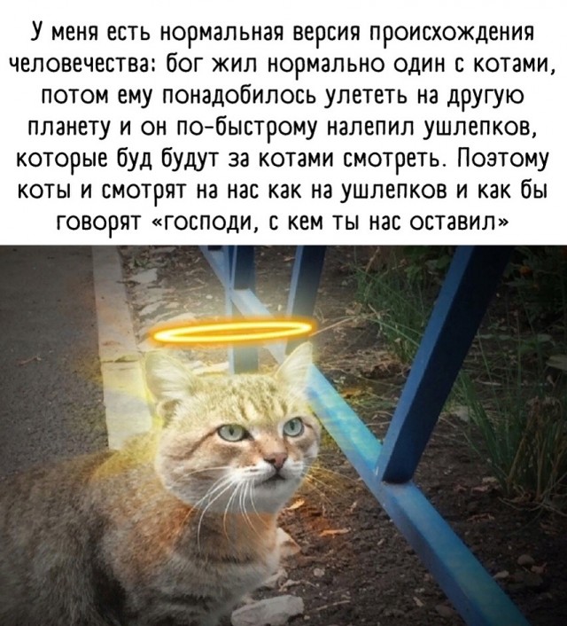 Так себе картинки 22.06.25