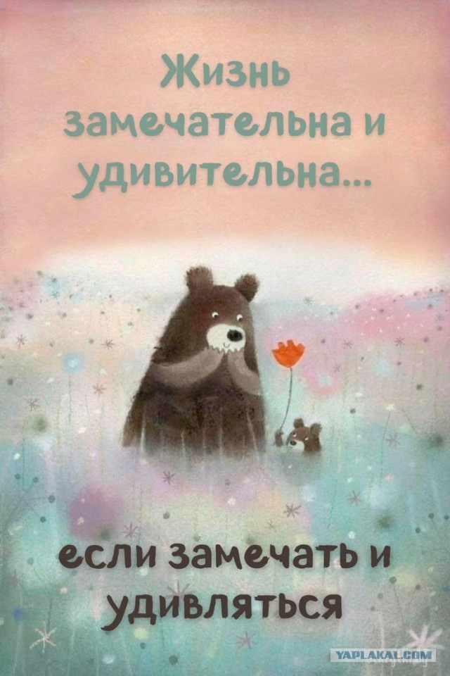 Даже самые красивые и уникальные места планеты кому-то не нравятся: просто почитайте эти реальные отзывы.