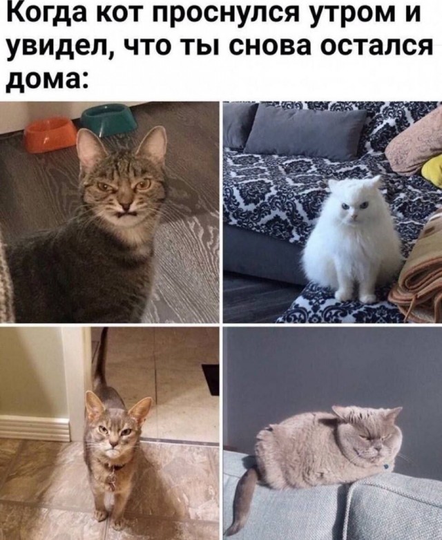 Для пятничного настроения