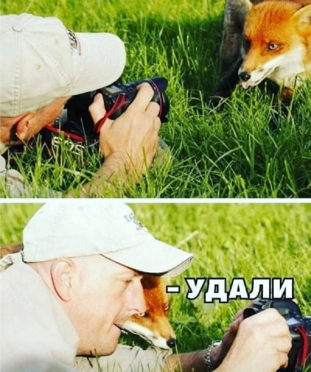 Так себе картинки 14.09.25
