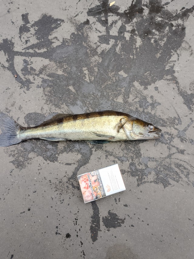 Очередная серия "вы рып показываете"??