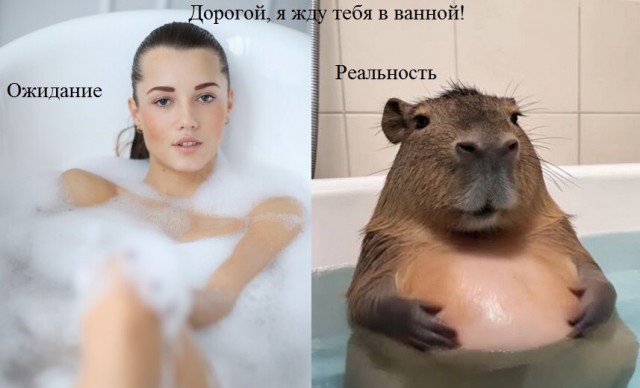 Веселое настроение в картинках (08.11.2025)