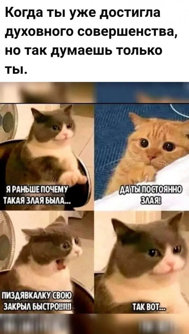 Так себе картинки 10.11.25