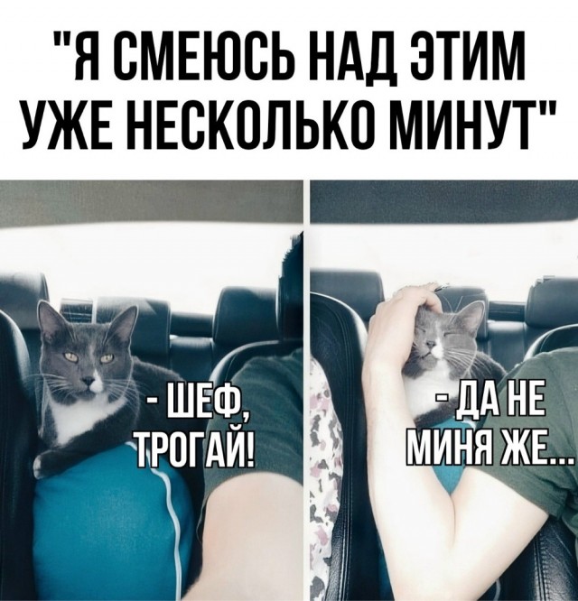 Субботы картинки