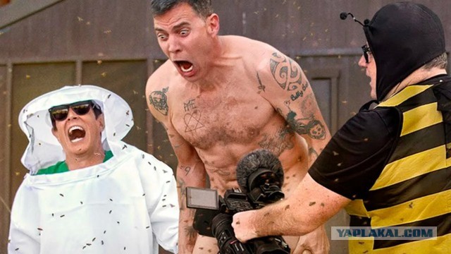 Идиот прыгнул на батут из колючей проволоки