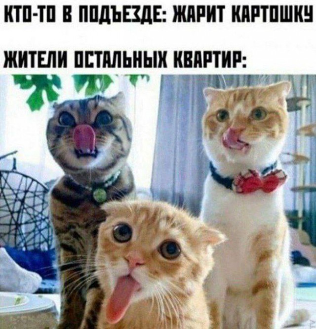 Смех да и только