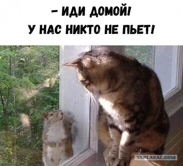 Понедельника картинки