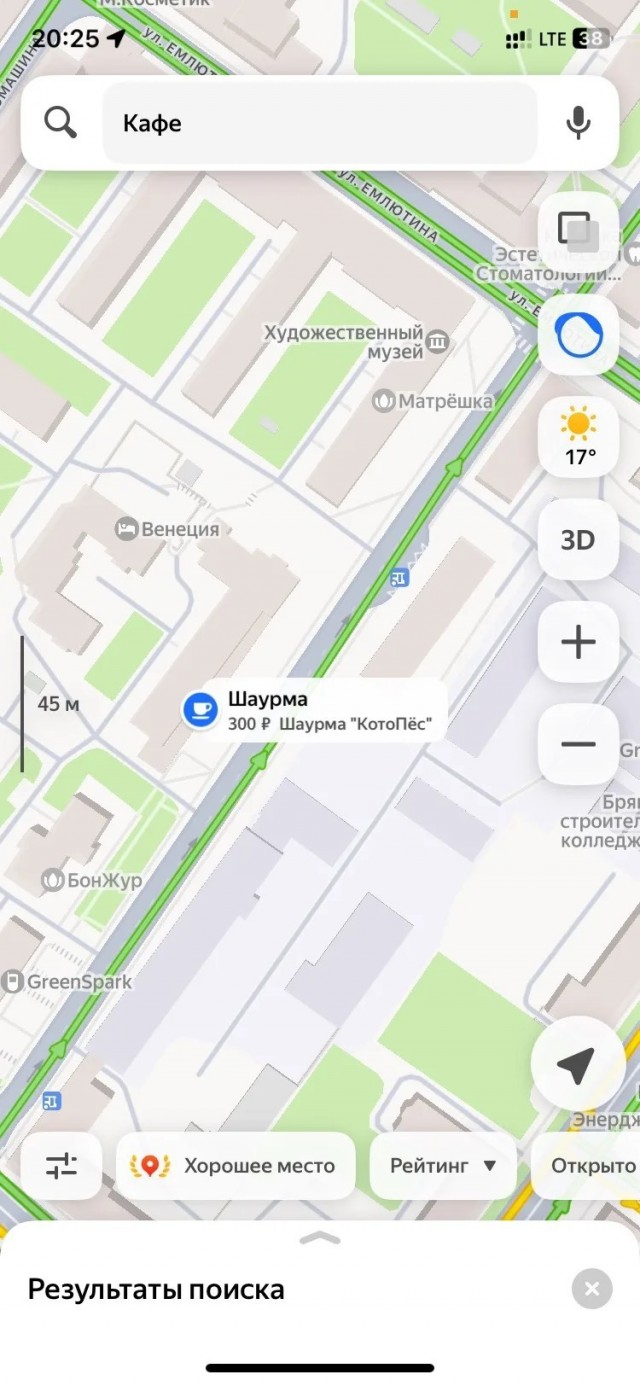 Две собаки. Два кота. Конь