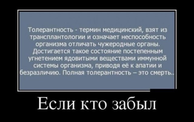 Пранкера арестовали на 15 суток за поездку на диване по Патриаршим прудам