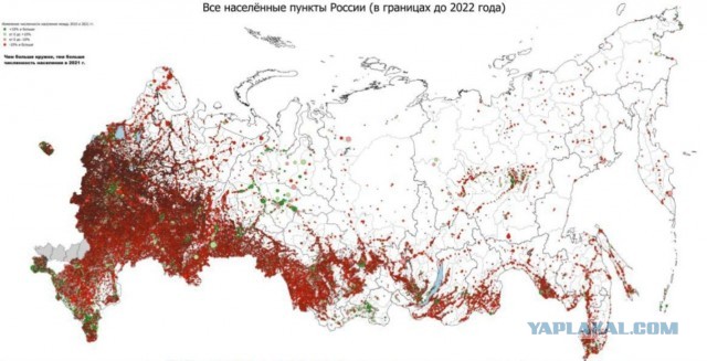 В Австралии больше кенгуру, чем людей…