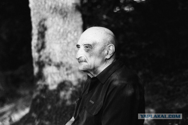Ясон Бадридзе: советский учёный, который два года прожил в стае волков