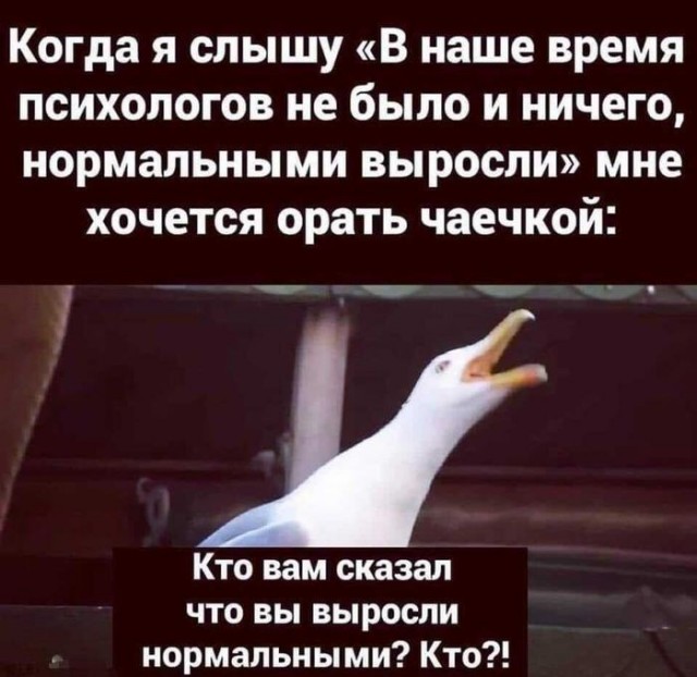 Картинки для деградации 297 (разной степени свежести)