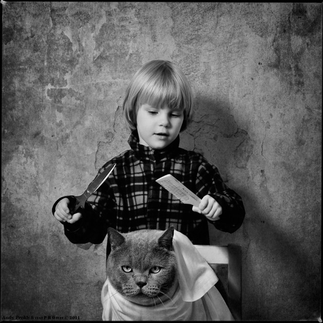Необычный фотоальбом 4-летней японки