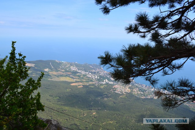 Отдых в Крыму 2014