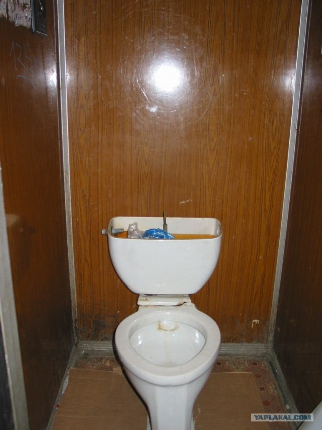 Толчок или толчек как. Толчок гири. Толчок или толчек как. Толчок штанги техника. Краснодарский толчок рынок.