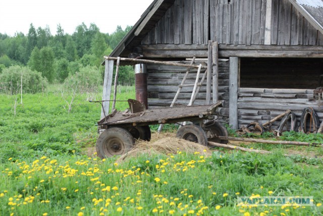 Хочу в Россию.