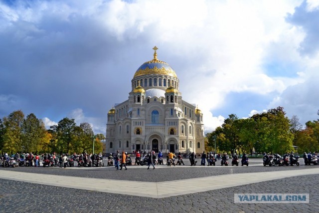 Тамбовский волк тебе товарищ...
