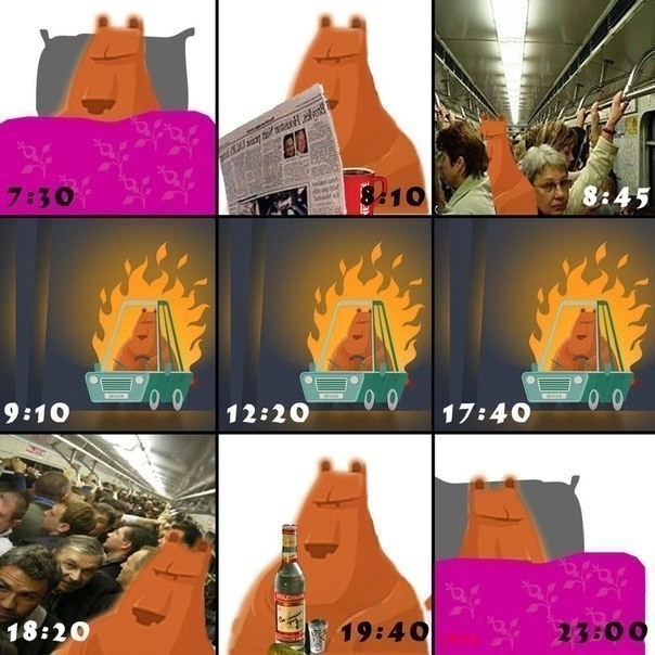 Обычная жизнь простого русского медведя