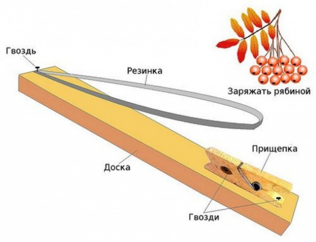 Оружие настоящего пацана