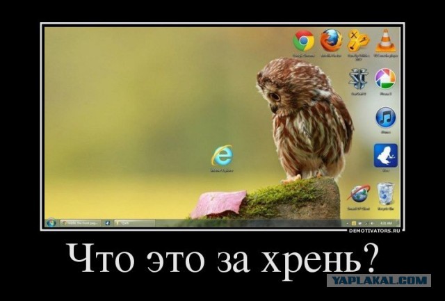 А давайте постить сов?!