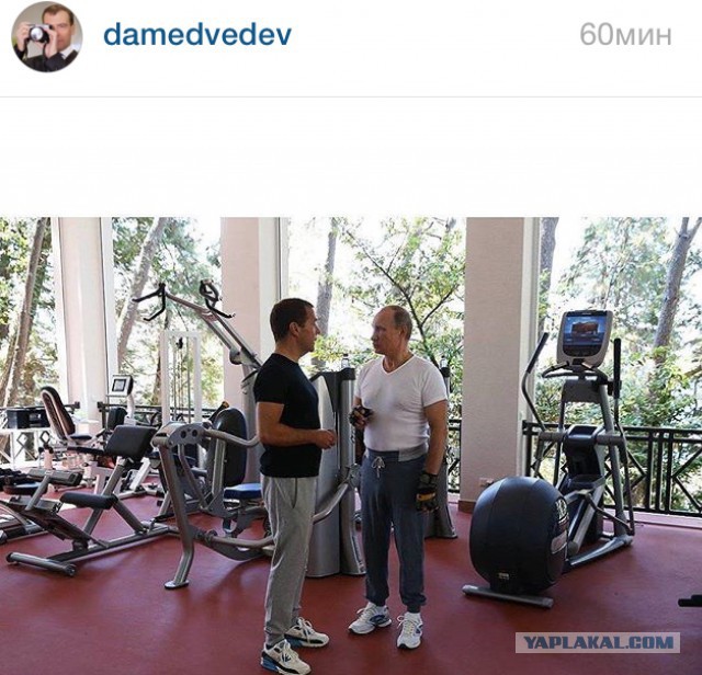 Путин и Медведев качаются