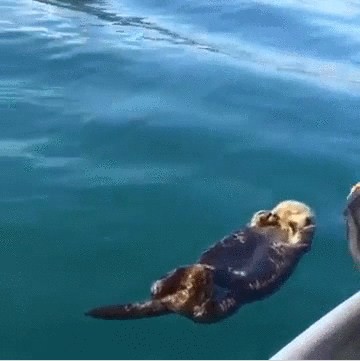 Хорош дрыхнуть